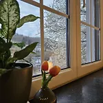 Le Monde - Ла-Рош-ан-Арден